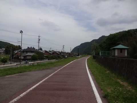 DSC07081