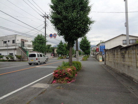 DSC02595