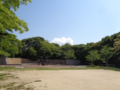 DSC09531