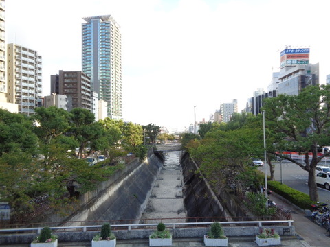 DSC02624