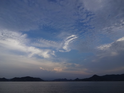 DSC09511