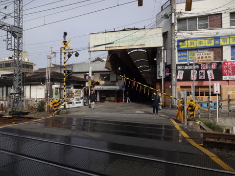 DSC01206