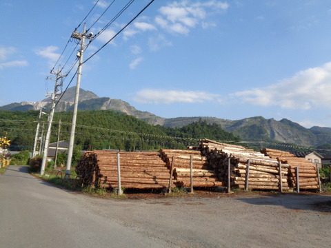 DSC02908