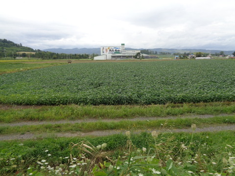 DSC04012