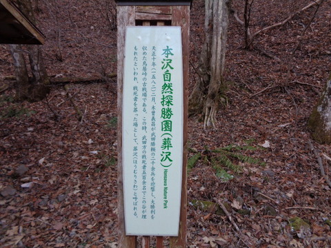 DSC06627