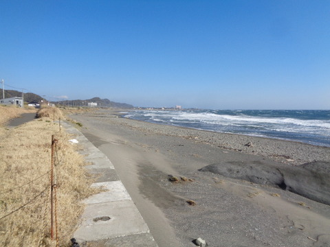 DSC01487