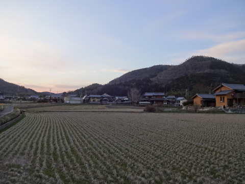 DSC04180