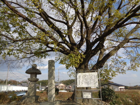 DSC07005