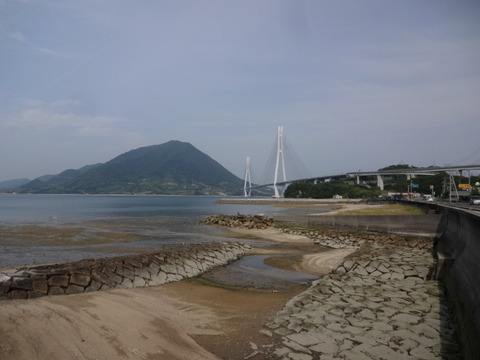 DSC07226