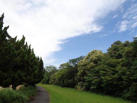 DSC00503