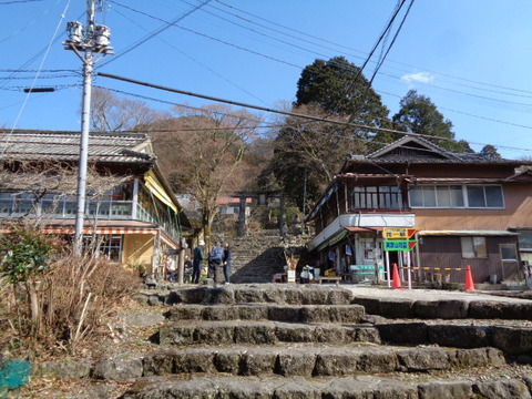 DSC04217