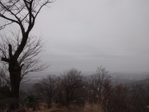DSC04264