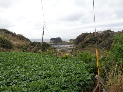DSC08440