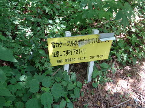 DSC08686