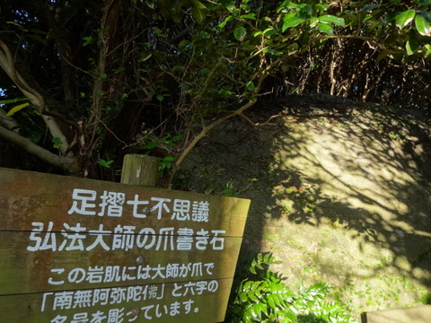 DSC02218
