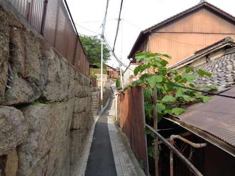 DSC09636
