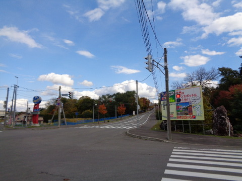 DSC03297