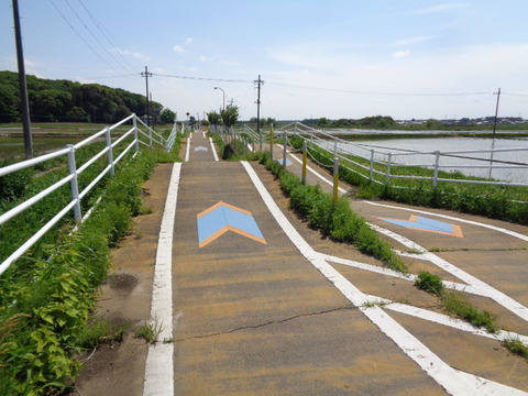 DSC01898