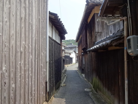 DSC09715