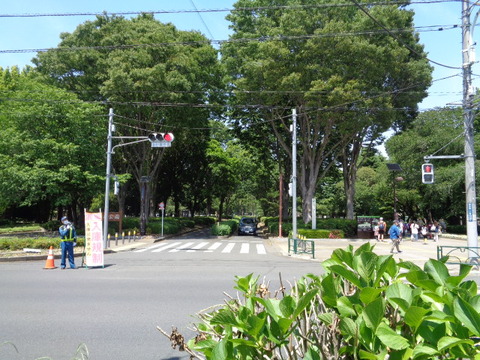 DSC00268