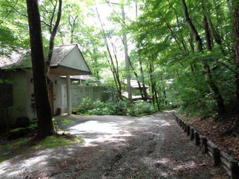 DSC09429