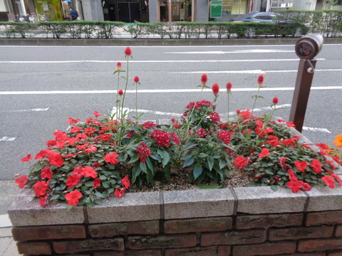 DSC02629