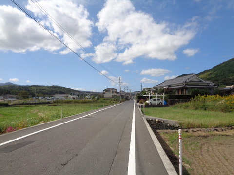 DSC00429
