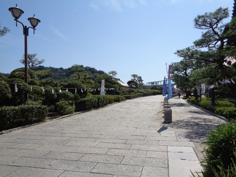 DSC05848
