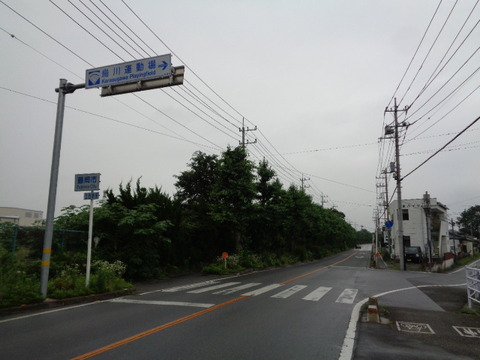 DSC03864