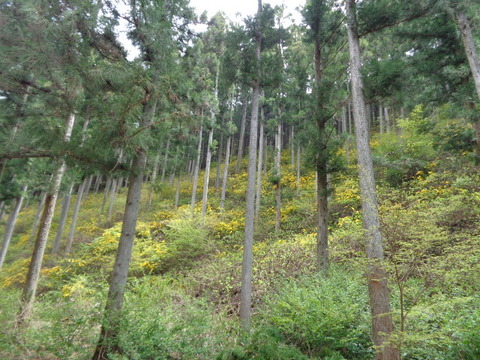 DSC09990