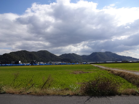 DSC09791