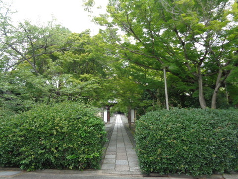 DSC00161