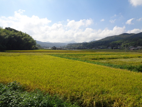 DSC09825