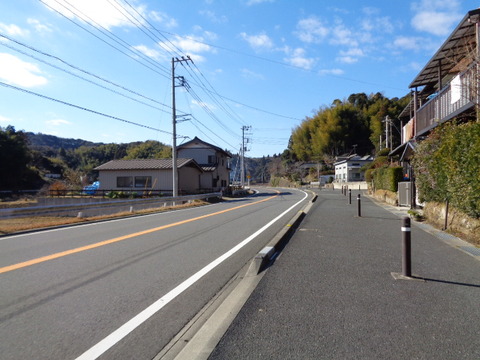 DSC02504