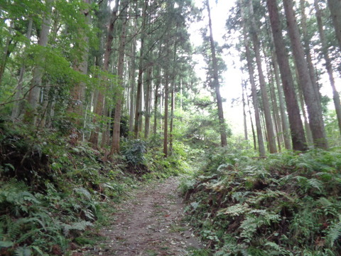 DSC05288