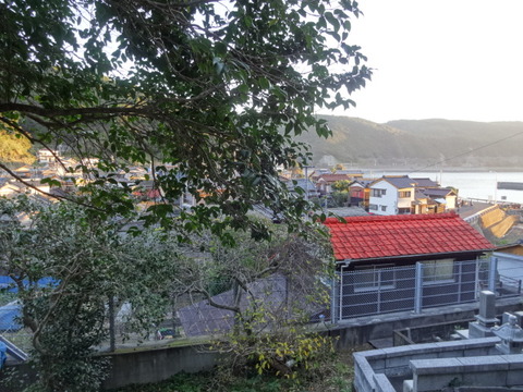 DSC02681