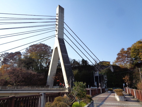 DSC04519