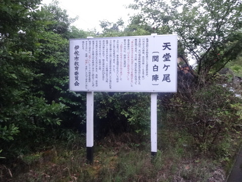 DSC07876