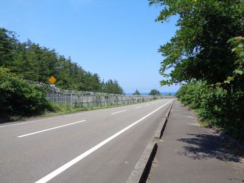 DSC08291