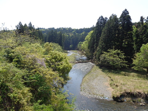 DSC03367