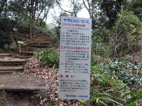 DSC04249