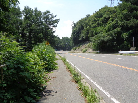 DSC01064