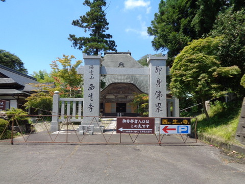 DSC08641