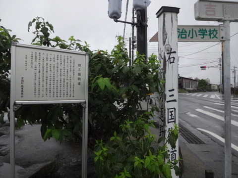 DSC08442