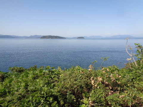 DSC09487