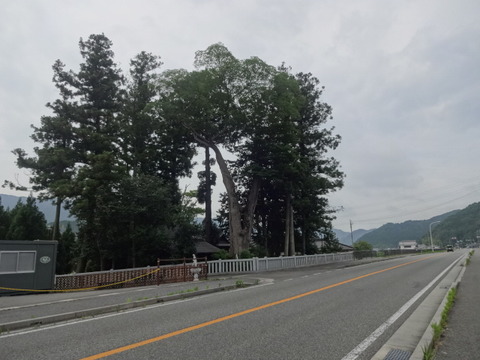 DSC08920