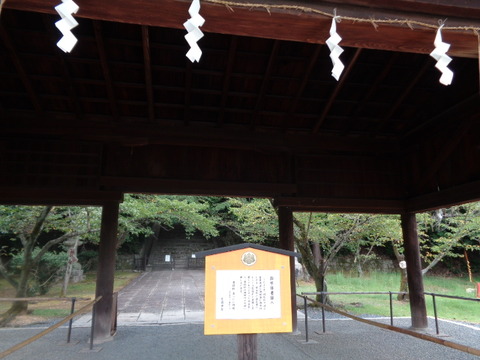 DSC01203