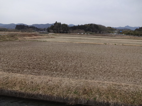 DSC04414