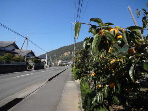 DSC00250