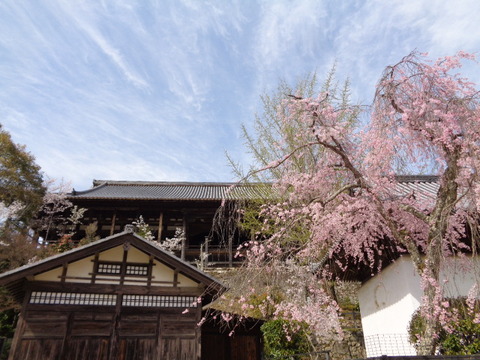 DSC02875